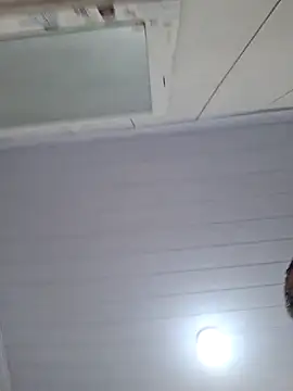 novinho100795 webcam
