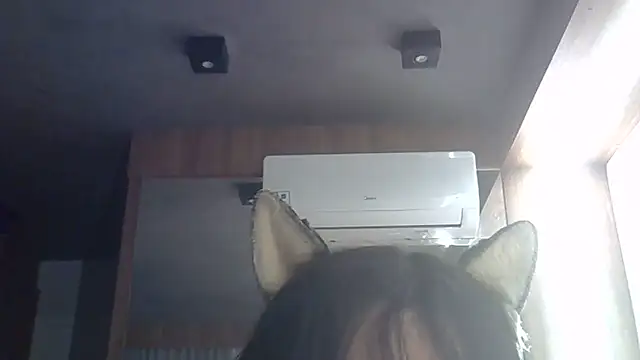 SkinnyKitten webcam