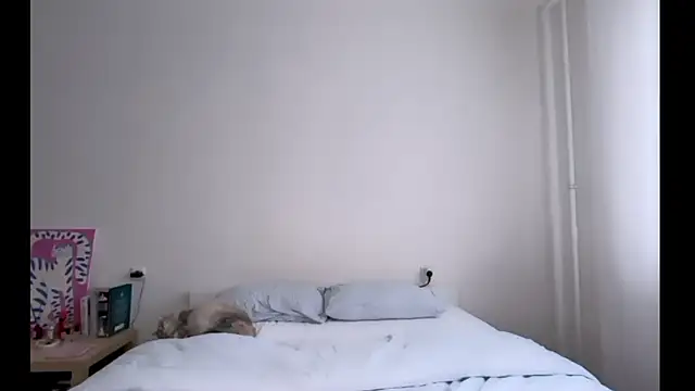 Milky___Way webcam