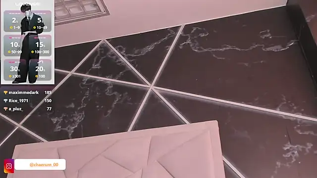 AerumChae webcam