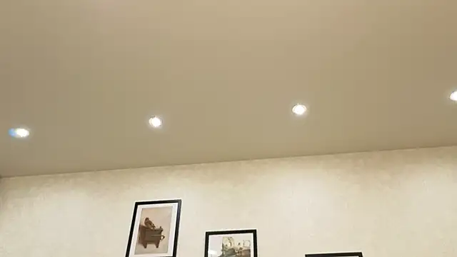dolly_ll webcam