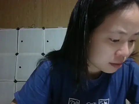 Cat-meow webcam