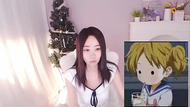hall-33 webcam