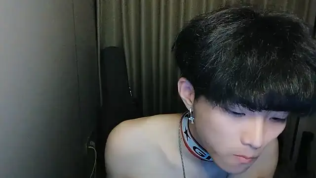 wssoo11 webcam