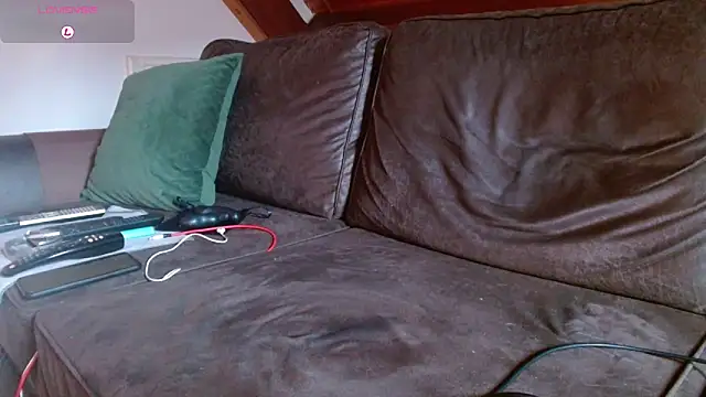 Vrenico-SC webcam