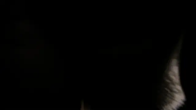 NicolaiKarav webcam