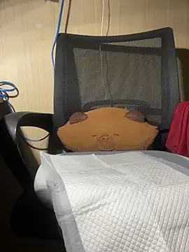 An-An19 webcam