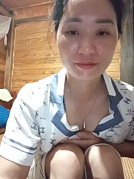 Td3di webcam