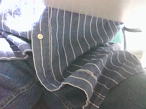 Gregcam webcam