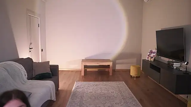AdaBell webcam