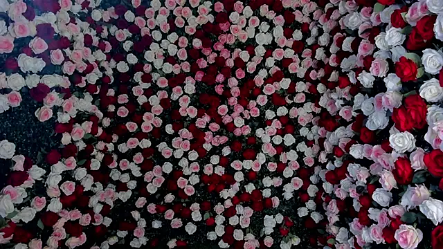 Mindy_Claker live cam on StripChat