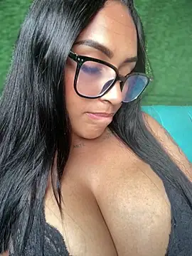 MaverickGray webcam