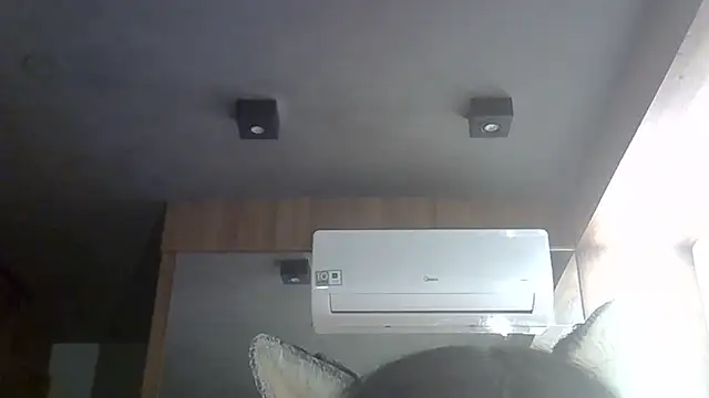 SkinnyKitten webcam