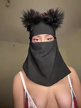arabayla webcam