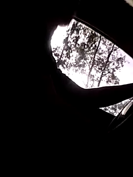 joliecu webcam