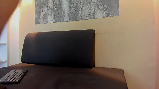 ZANE_EVANS webcam