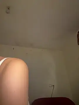 arabayla webcam