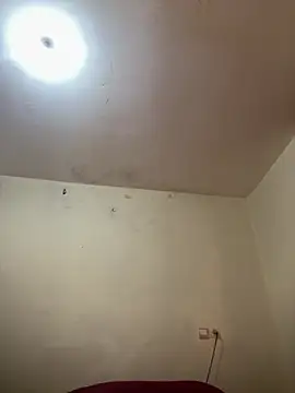 arabayla webcam