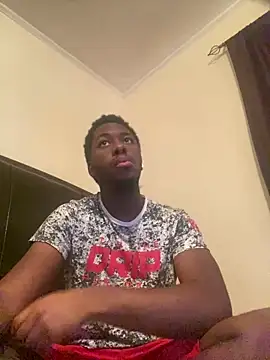 ThickDic28 webcam