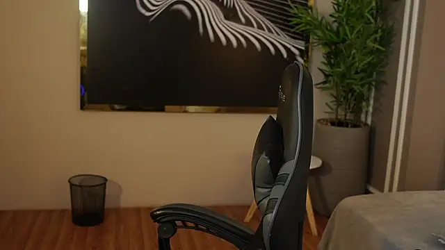 Ethan_occonor webcam