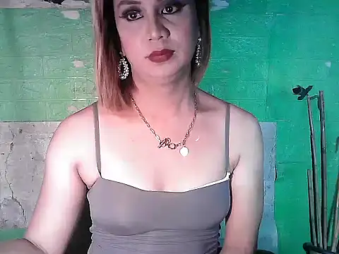 godescock webcam