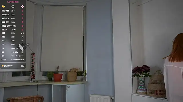 SunnyAdrid webcam