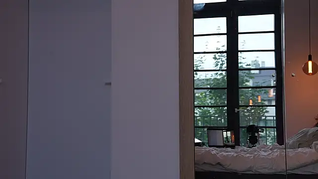 ibiddi webcam