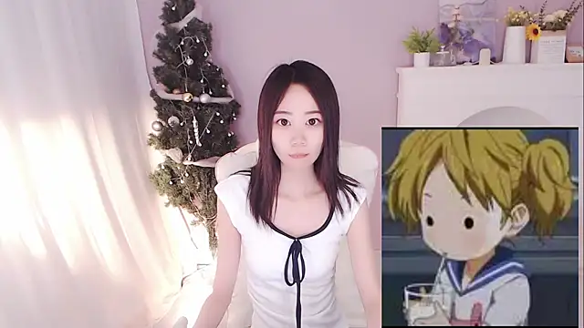 hall-33 webcam