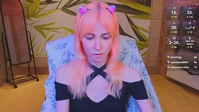 fleximona webcam