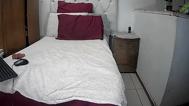 BaselBlues live cam on StripChat