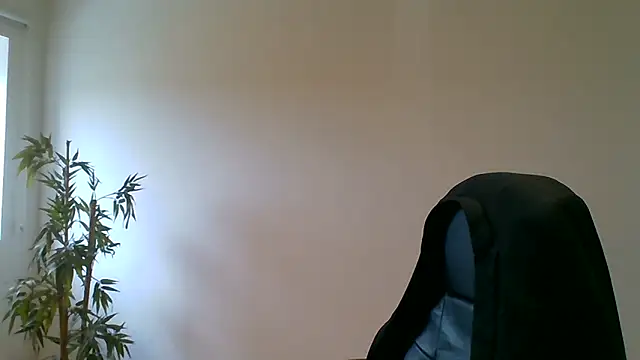 66MA69 webcam