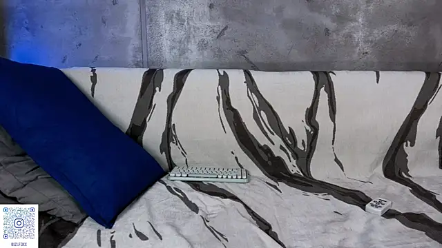 izi-fox webcam
