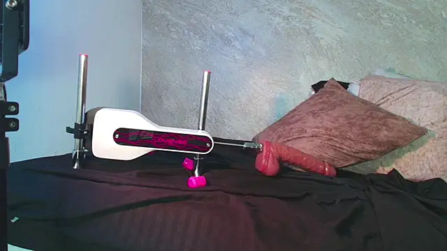 Dixie_grey1 webcam