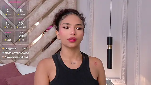 Scarlett-Banner webcam