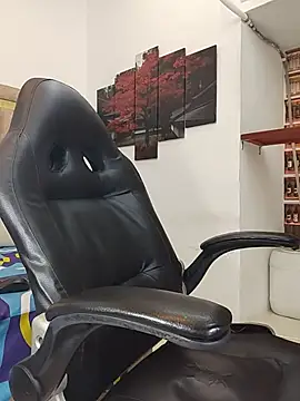 _Shirley_ webcam