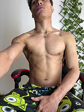 NelModel1 webcam