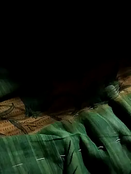 maliska-rani webcam