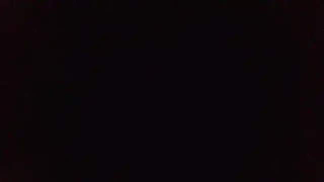 panda_06200 webcam