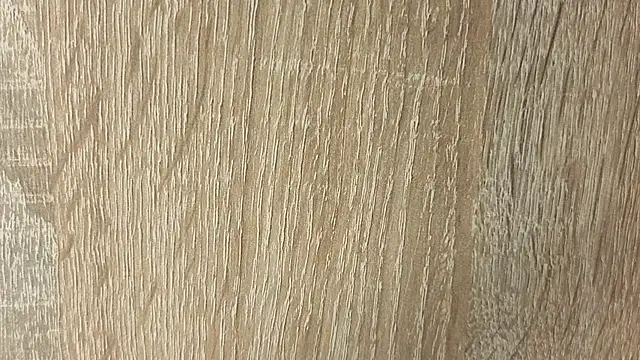 NoFace_Model webcam