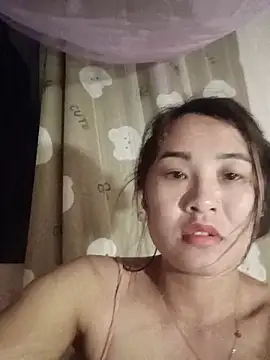 Pivi12 webcam