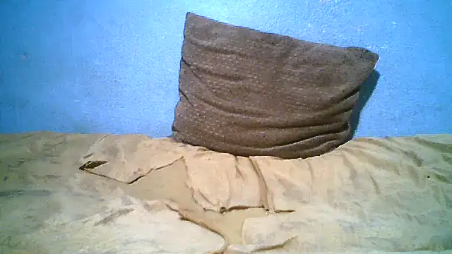 little__joy webcam