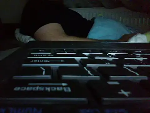 FROL83 webcam