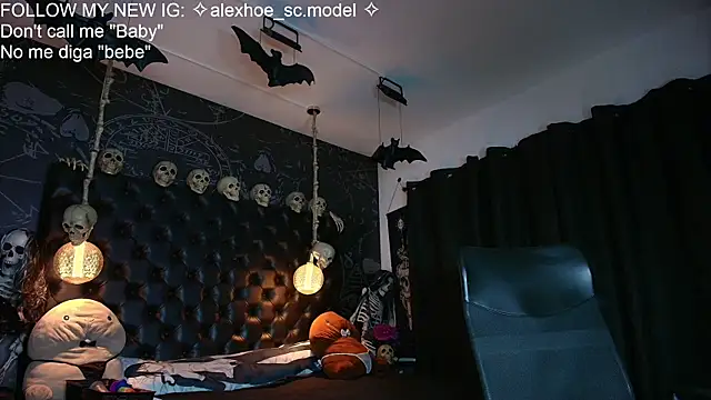 AlexHoe_ webcam