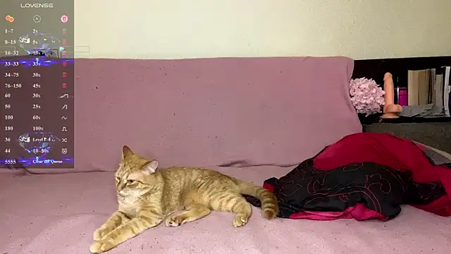 kittywithu webcam