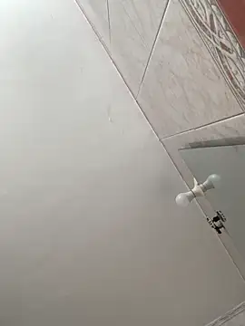 La-Gatiita-trans webcam