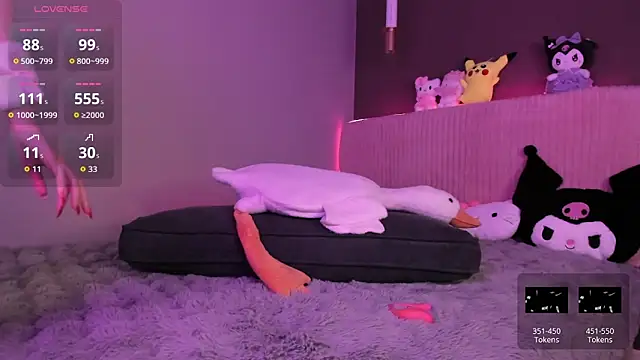 nor_xiio webcam