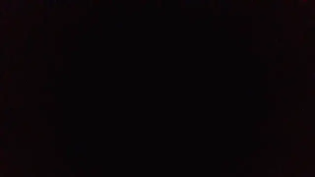 panda_06200 webcam