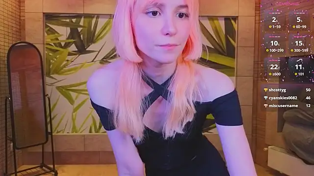 fleximona webcam