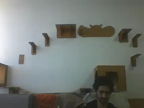 Temp7 live cam on StripChat