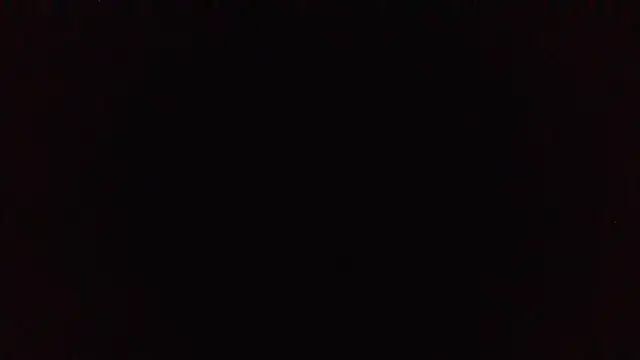 panda_06200 webcam